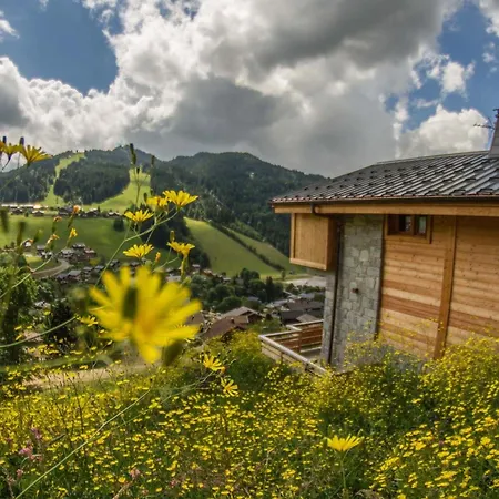 Familial Confortable, Proche Navette, Garage, Wifi - Fr-1-598-24 Chalet *